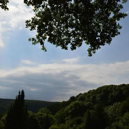 House With Interior And Garden In Volcanic Eifel Apartment