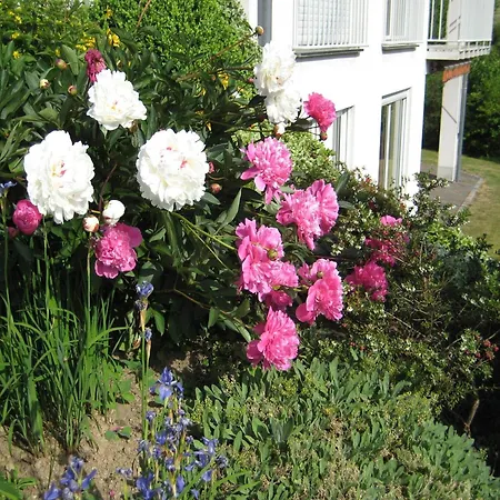 Eifel Escape Cozy & Scenic Apartamento Strotzbüsch